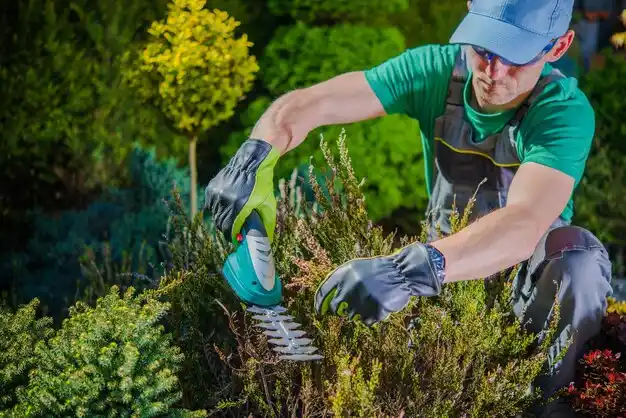landscaping services Wyandanch